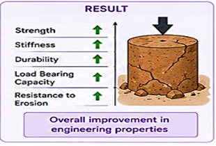 Bio- mediated stabilization of clayey soil.
