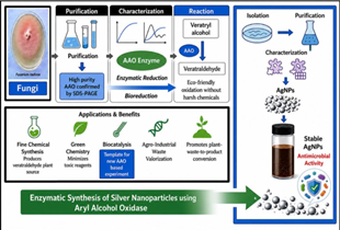 Extracellular oxidoreductase exhibiting aryl alcohol oxidase activity for enzyme-mediated synthesis of silver nanoparticles